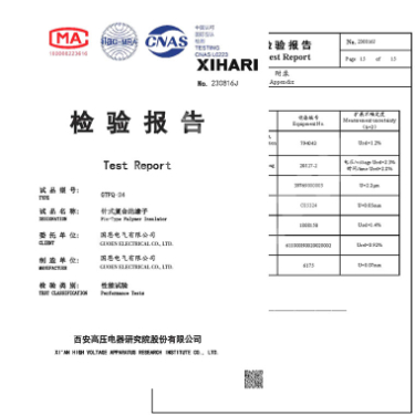 Test Report