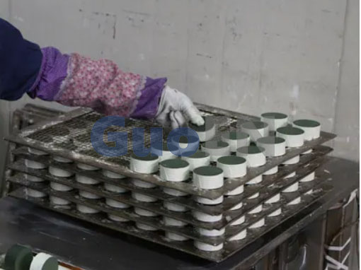 Lightning Arrester Workshop